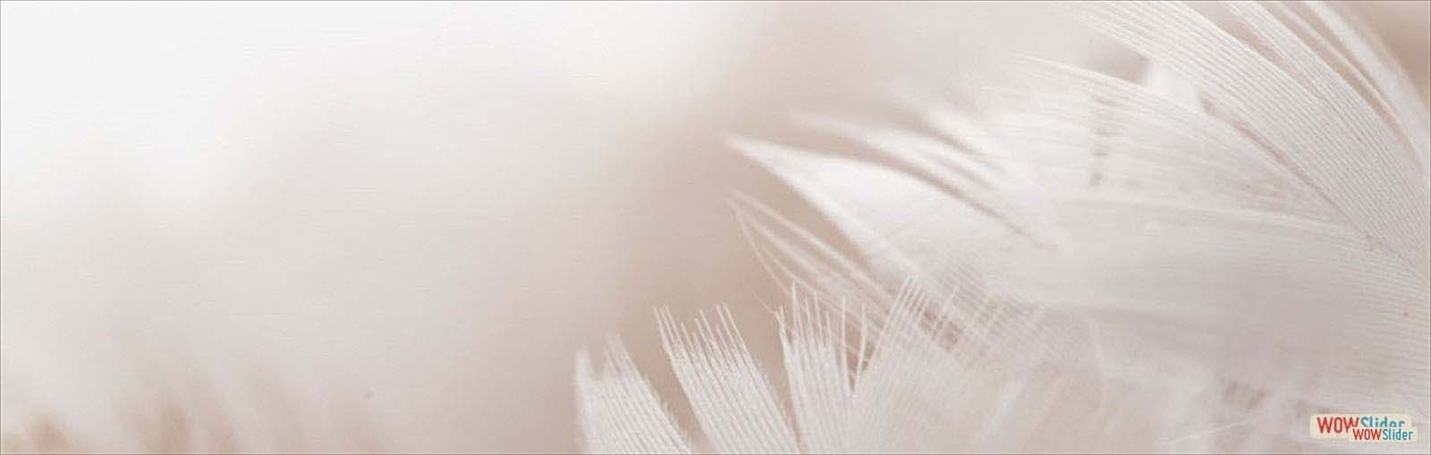 Walking with Angels Walking with Angels