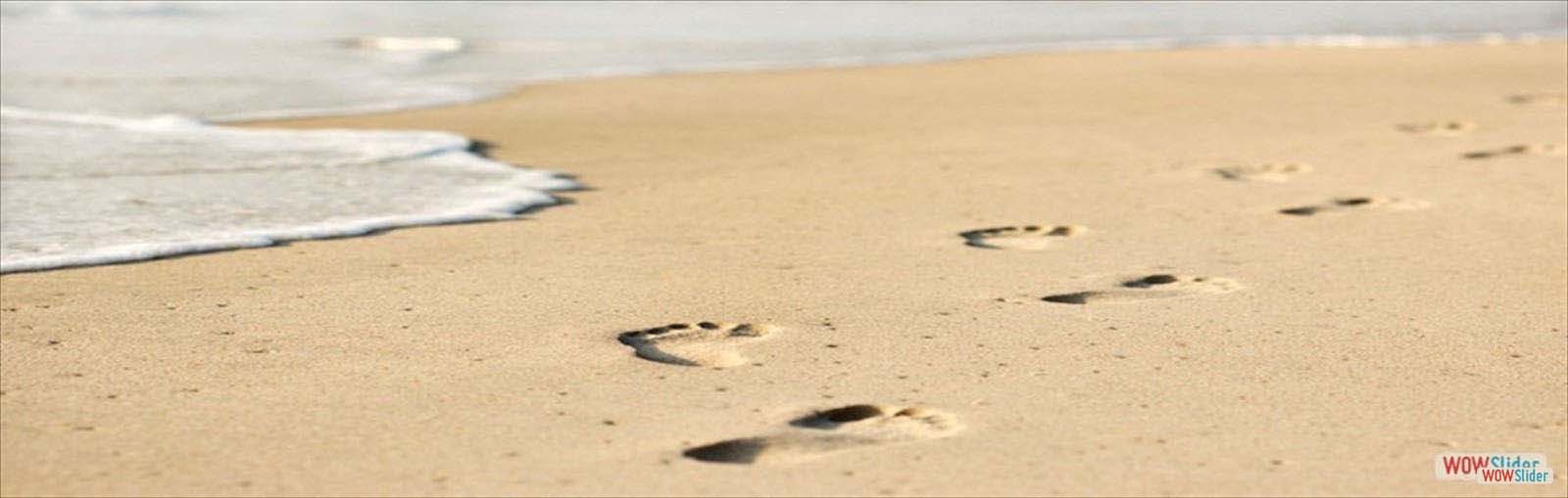 Never Alone Never Alone