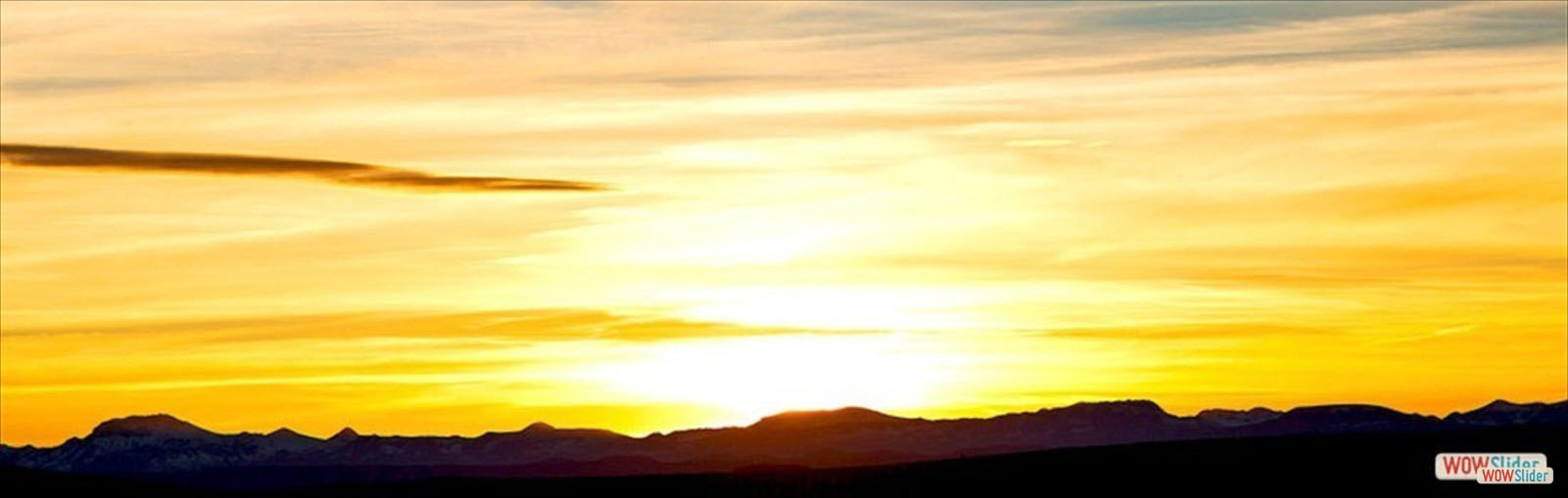 Releasing The Past Releasing The Past